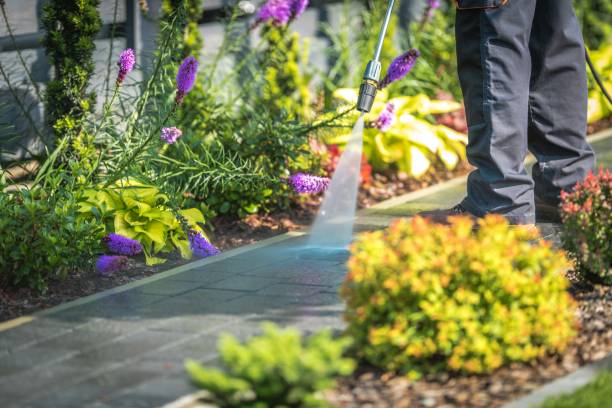 Fern Prairie, WA Pressure Washing Services Company