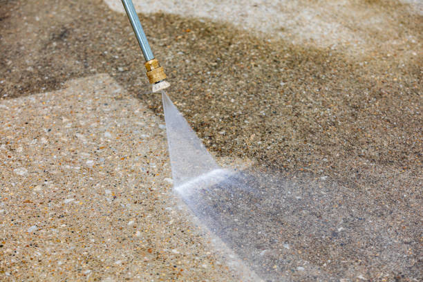 Best Boat and Dock Cleaning  in Fern Prairie, WA